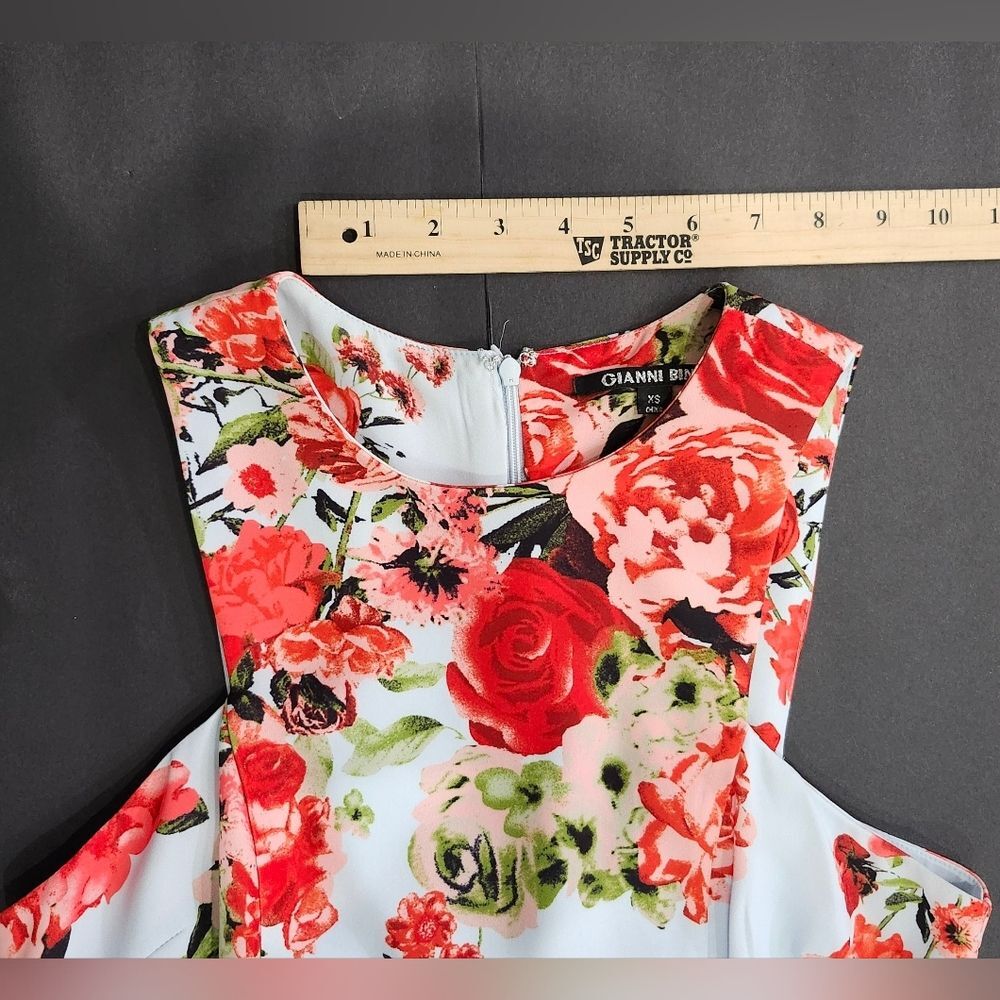 Gianni Bini Floral Mini Dress - Light Blue and Red - Picture 3 of 10